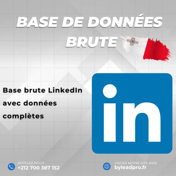 Base de données LinkedIn – Prospects BRUT Malte