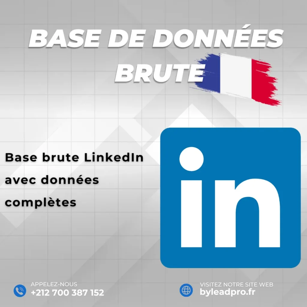 Base de données LinkedIn – Prospects BRUT France