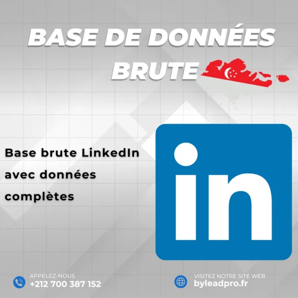 Base de données LinkedIn – Prospects BRUT Singapour