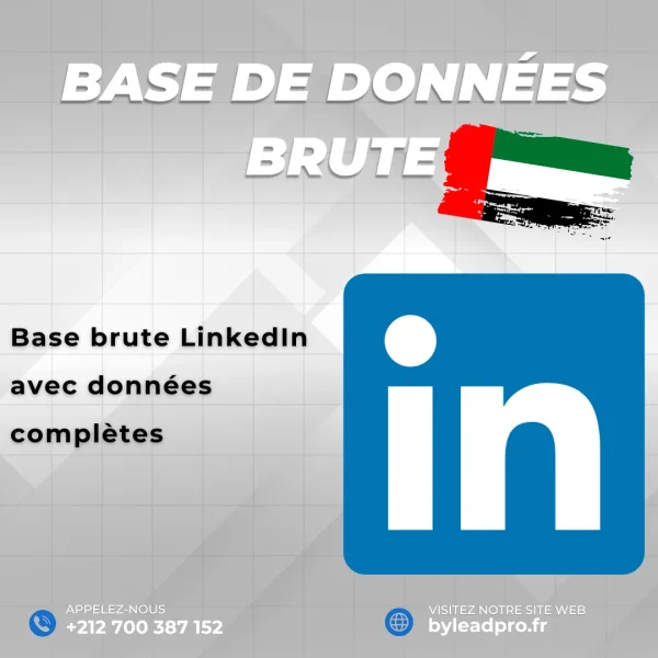 Base de données LinkedIn – Prospects BRUT Émirats Arabes Unis