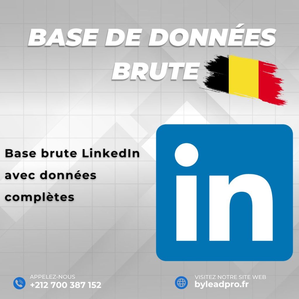 Base de données LinkedIn – Prospects BRUT Belgique