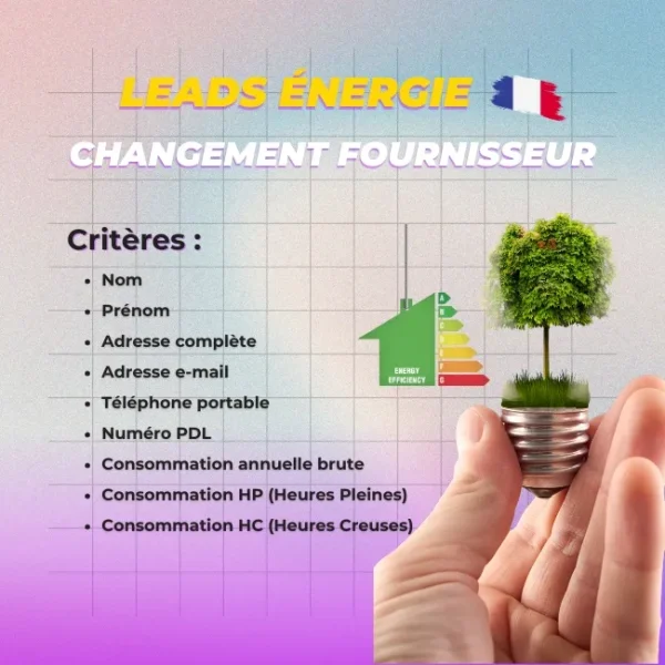 Leads Énergie France
